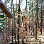 Burghof Kyffhaeuser באד פרנקנהאוזן