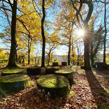 Burghof Kyffhaeuser Han/Misafirhane
