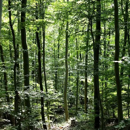 Burghof Kyffhaeuser 3*