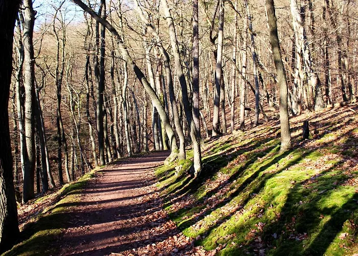 Burghof Kyffhäuser Gasthof 3*