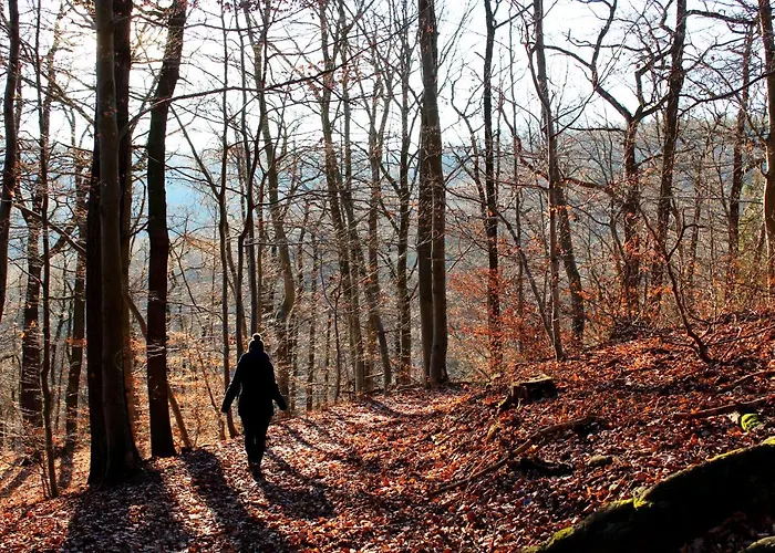 Gasthof Burghof Kyffhäuser 3*