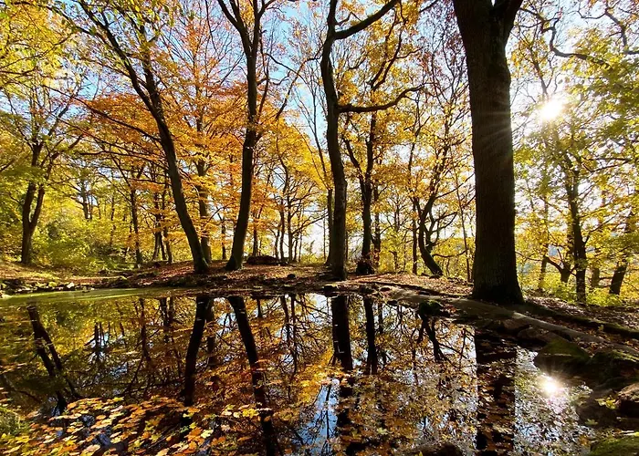 Burghof Kyffhäuser Gasthof