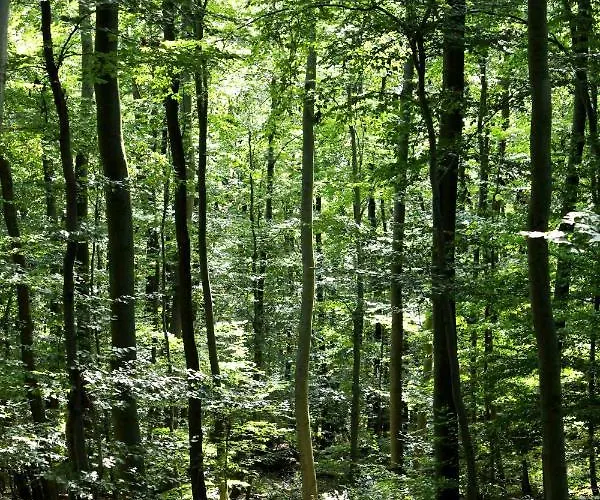 Burghof Kyffhaeuser 3*