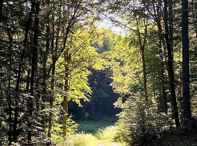 Burghof Kyffhaeuser Penzion