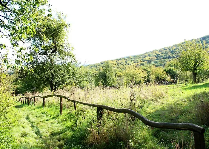 Burghof Kyffhaeuser Penzion Bad Frankenhausen