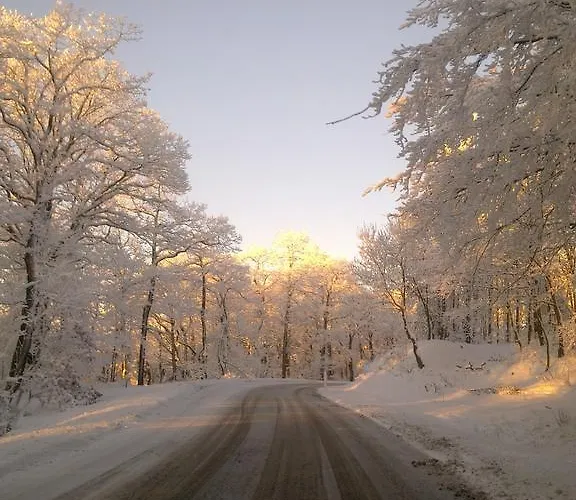 Burghof Kyffhaeuser Bad Frankenhausen